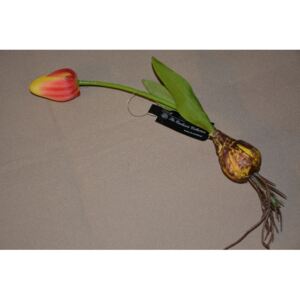 CERINO Umělá květina Tulipán s cibulkou 27cm oranžový 1ks