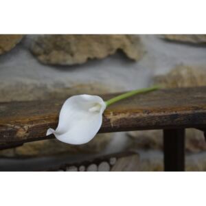 CERINO Umělá květina Kala 37cm bílá