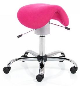Zdravotní židle Ergo Flex