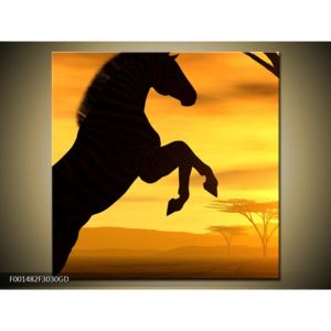 Obraz siluety koně (F001482F3030GD)