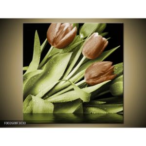 Obraz hnědých květů a zelených listů (F002608F3030)