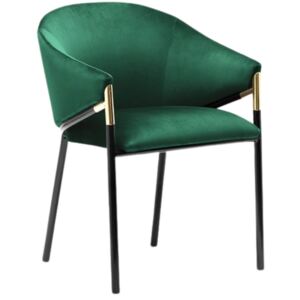 Concept design Tmavě zelená sametová jídelní židle Francis