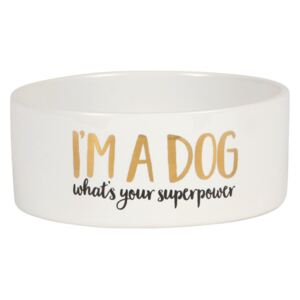 Sass & Belle ROZBALENO - Bílá miska pro psy s nápisem I am a dog