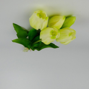 Umělé tulipány latexové krémovo- zelené, svazek 5 ks