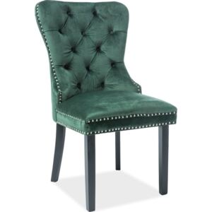 Casarredo Jídelní čalouněná židle AUGUST VELVET zelená/černá