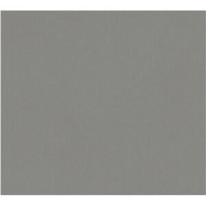 3459-81 tapety na zeď Pop Colors | 0,53 x 10,05 m | šedá