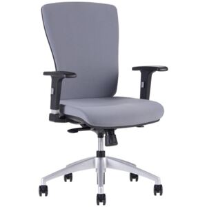 Židle Halia BP (šedé provedení)