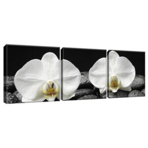 Obraz na plátně Bílá orchidej a černý kámen 90x30cm 1709A_3A