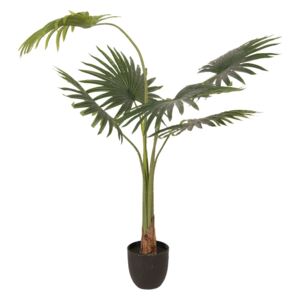 Dekorace pokojové rostliny palmy - 60*61*134 cm
