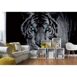 Fototapeta - Black And White Tiger Blue Eyes Vliesová tapeta - 206x275 cm