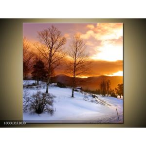 Obraz zimní krajiny (30x30 cm)