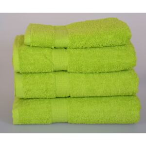 Aaryans Sada 4 kusů, Froté ručník SPRING , 50x100 cm, zelená
