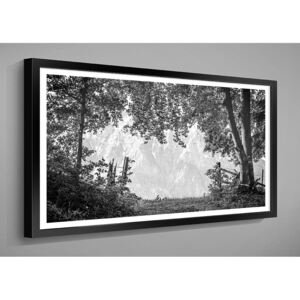 OBRAZ 80x40 BW černobílé RÁMEČEK BW: 2015