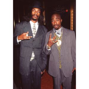Plakát, Obraz - Snoop Dogg & Tupac - Suits, (59,4 x 84,1 cm)
