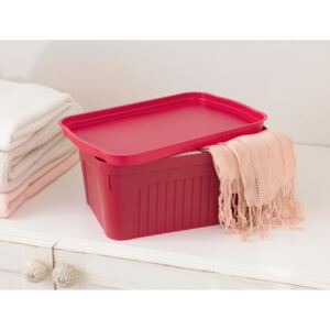 Plastový úložný box s víkem Denys Barva: Červená, velikost: S - 33 x 21,5 x 14,5 cm