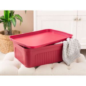 Plastový úložný box s víkem Denys Barva: Červená, velikost: M - 46,3 x 31 x 15,5 cm