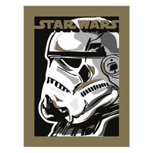 Obraz, Reprodukce - Star Wars - Stormtrooper, (30 x 40 cm)