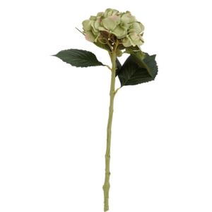 FLORISTA Hortenzie 48 cm - zelená