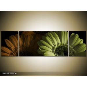 Obraz tří slunečnic - hnědá a zelená (F002526F17050)
