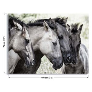 Obraz na plátně GLIX - Four Konik Horses by Jaap 60x40 cm