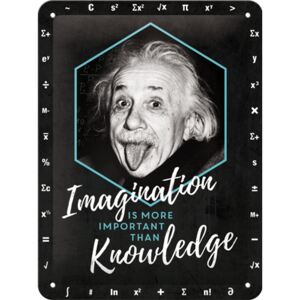 Nostalgic Art Plechová cedule: Einstein (Imagination & Knowledge) - 20x15 cm