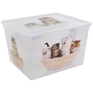 KIS Plastový C Box CUBE s víkem Puppy & Kitten