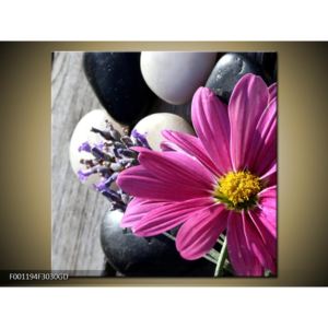 Obraz květin (F001194F3030GD)