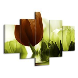 Vícedílný obraz Tulipány ve vodě 100x70 cm