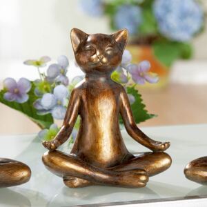 Kočka v jóga pozici - Lotos