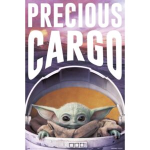 Plakát, Obraz - Star Wars: The Mandalorian - Precious Cargo, (61 x 91,5 cm)