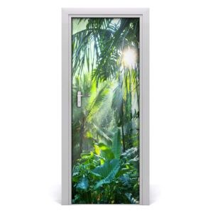 Fototapeta samolepící Prales