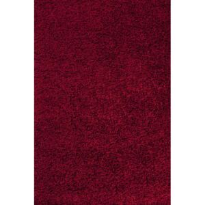 Ayyildiz Kusový koberec Shaggy Dream 4000 vínový vysoký vlas 120x170 cm