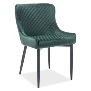 Jídelní židle - COLIN B Velvet, různé barvy na výběr Čalounění: zelená (tap.78)