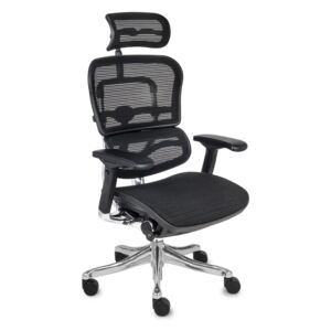 Kancelářská židle Ergohuman Plus Elite BS KMD31