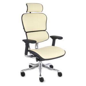 Kancelářská židle Ergohuman Plus Elite LE02