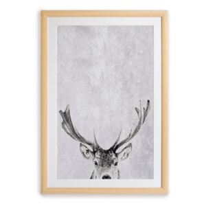 Nástěnný obraz v rámu Surdic Deer, 30 x 40 cm