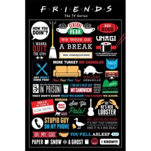 Plakát - Přátelé (Infografika)