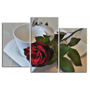 Růže a šálek C1517DO
