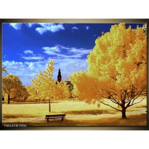 Obraz žlutých stromů (F001474F7050)