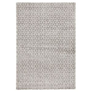 Moderní kusový koberec Stella 102603 šedý Typ: 80x150 cm