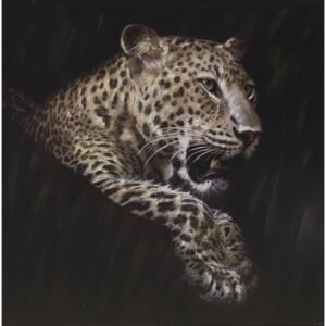 Obraz na zeď Original Rimbo 100x100 cm, Leopard