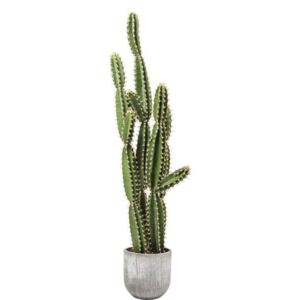 KARE DESIGN Dekorativní předmět Plant Cactus Pot 202 cm