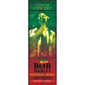 Plakát, Obraz - Bob Marley - concert, (53 x 158 cm)