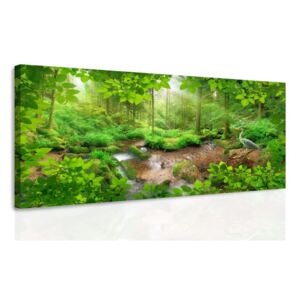 InSmile ® Obraz volavka v lese Velikost (šířka x výška): 120x60 cm