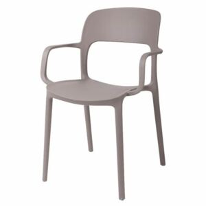 Design Židle s područkami FLEXI - výběr barev