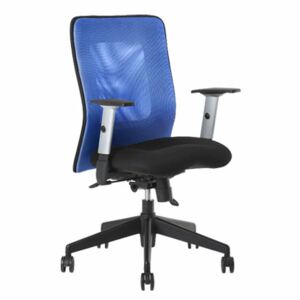 Calypso kancelářská židle (Výběr barev síťoviny)