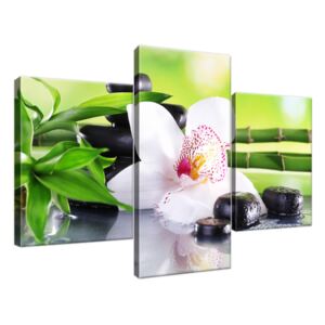 Obraz na plátně Bílá orchidej a kameny 90x60cm 1995A_3B