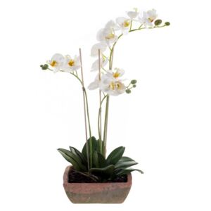 Umělá Orchidej v květináči, 50cm