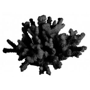 Pryskyřičný korál Kelly Hoppen - černý
