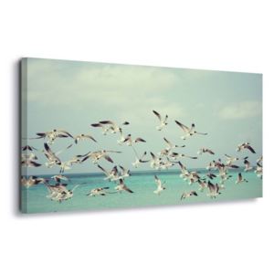 Obraz na plátně - Vintage Seagulls 60x40 cm